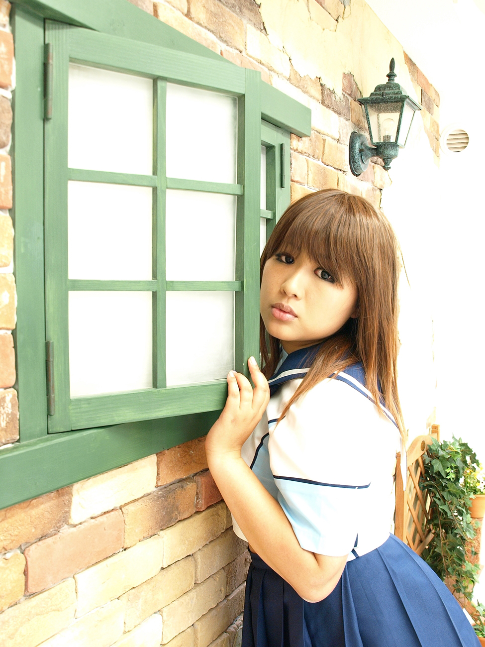 [Bụng mèo đầy hoa hồng] sau khi đi học