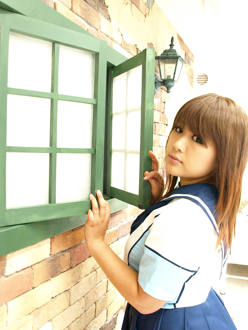 [Bụng mèo đầy hoa hồng] sau khi đi học