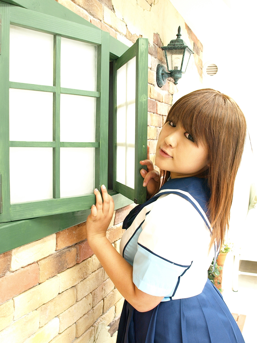 [Bụng mèo đầy hoa hồng] sau khi đi học