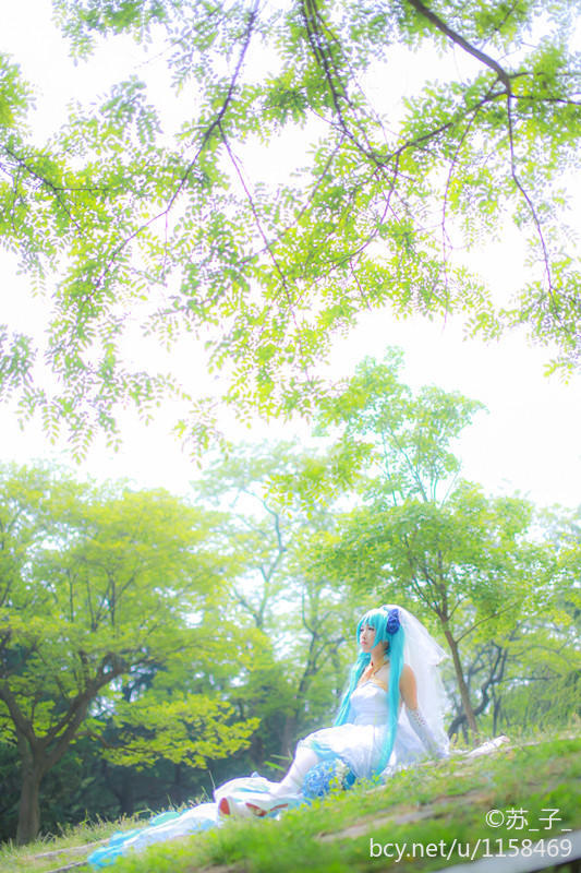 "Vocaloid" Miku Demon King Huajie c o s p l a y