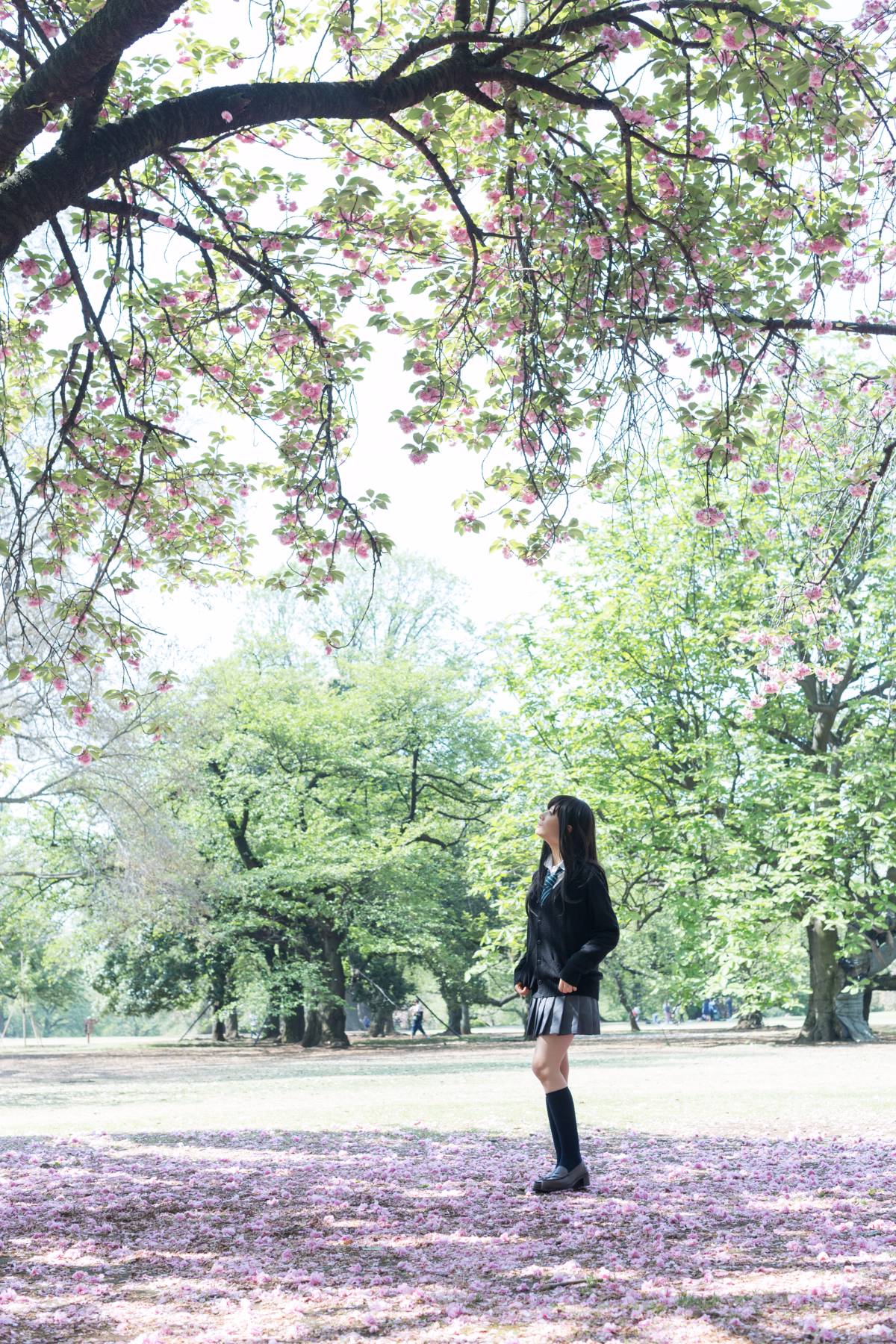 [Flameworks] Tự nhiên (Thần tượng - Shibuya Rin)