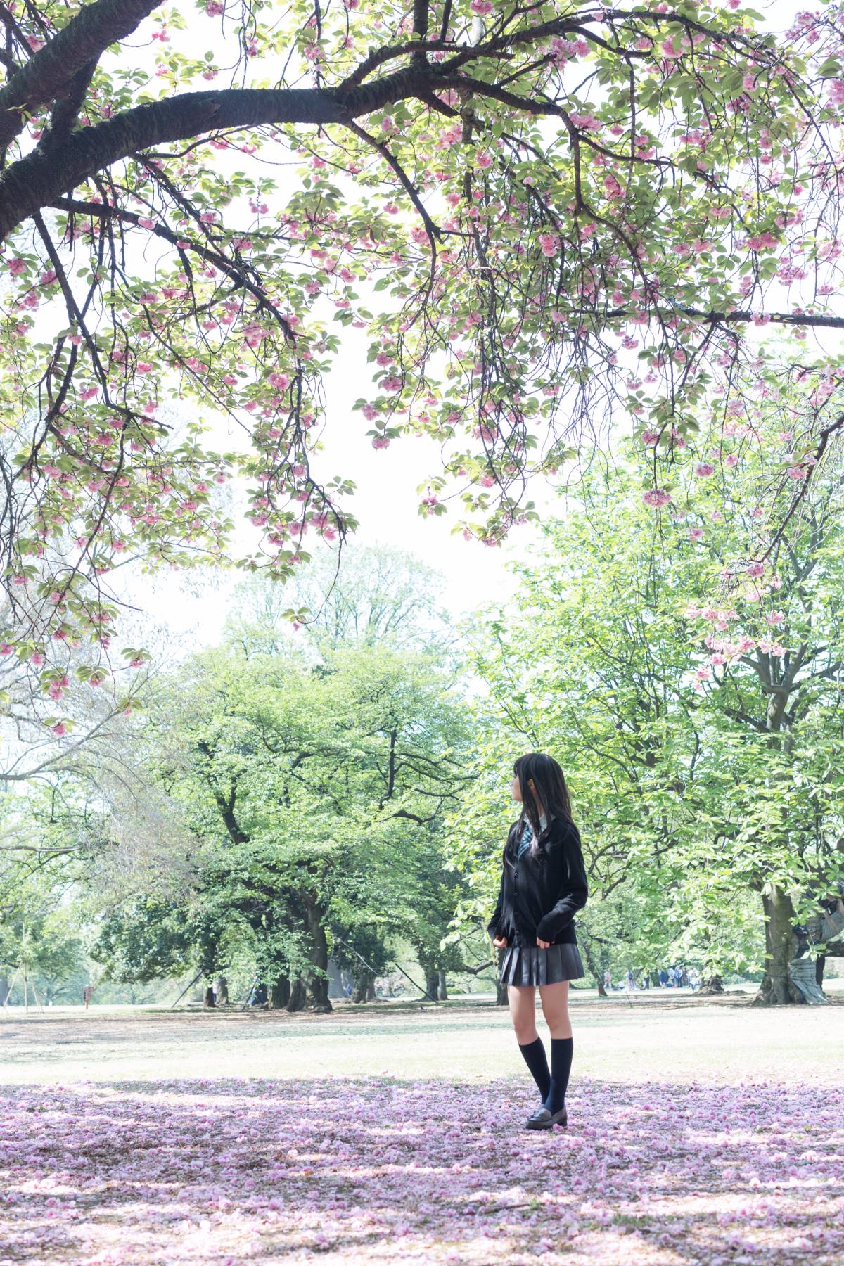 [Flameworks] Tự nhiên (Thần tượng - Shibuya Rin)