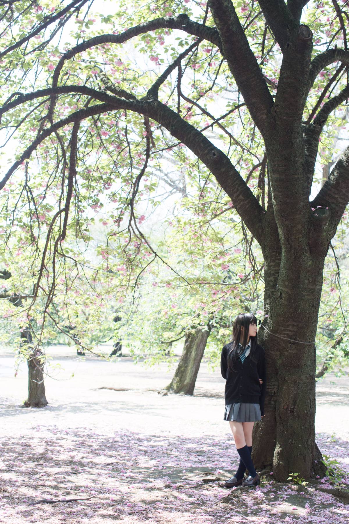 [Flameworks] Tự nhiên (Thần tượng - Shibuya Rin)