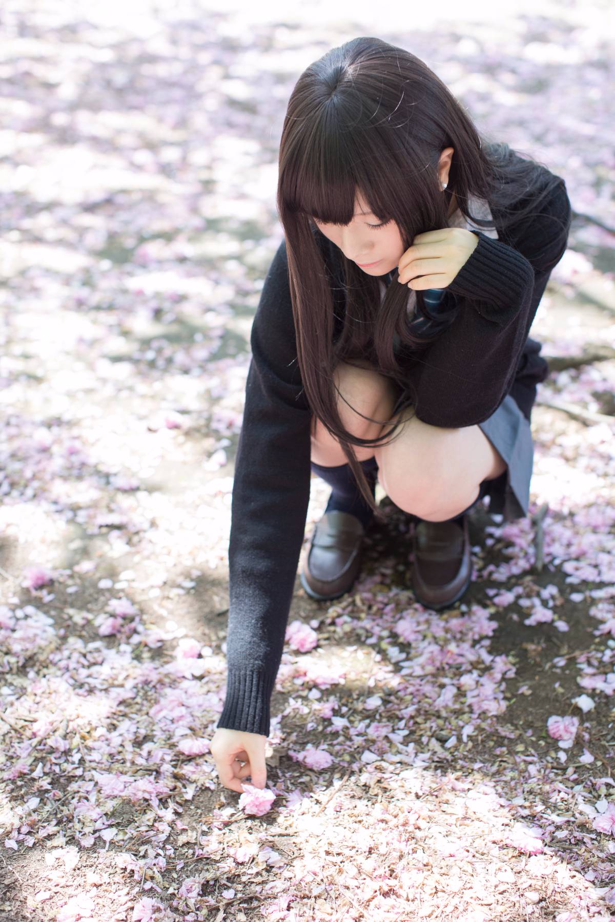 [Flameworks] Tự nhiên (Thần tượng - Shibuya Rin)