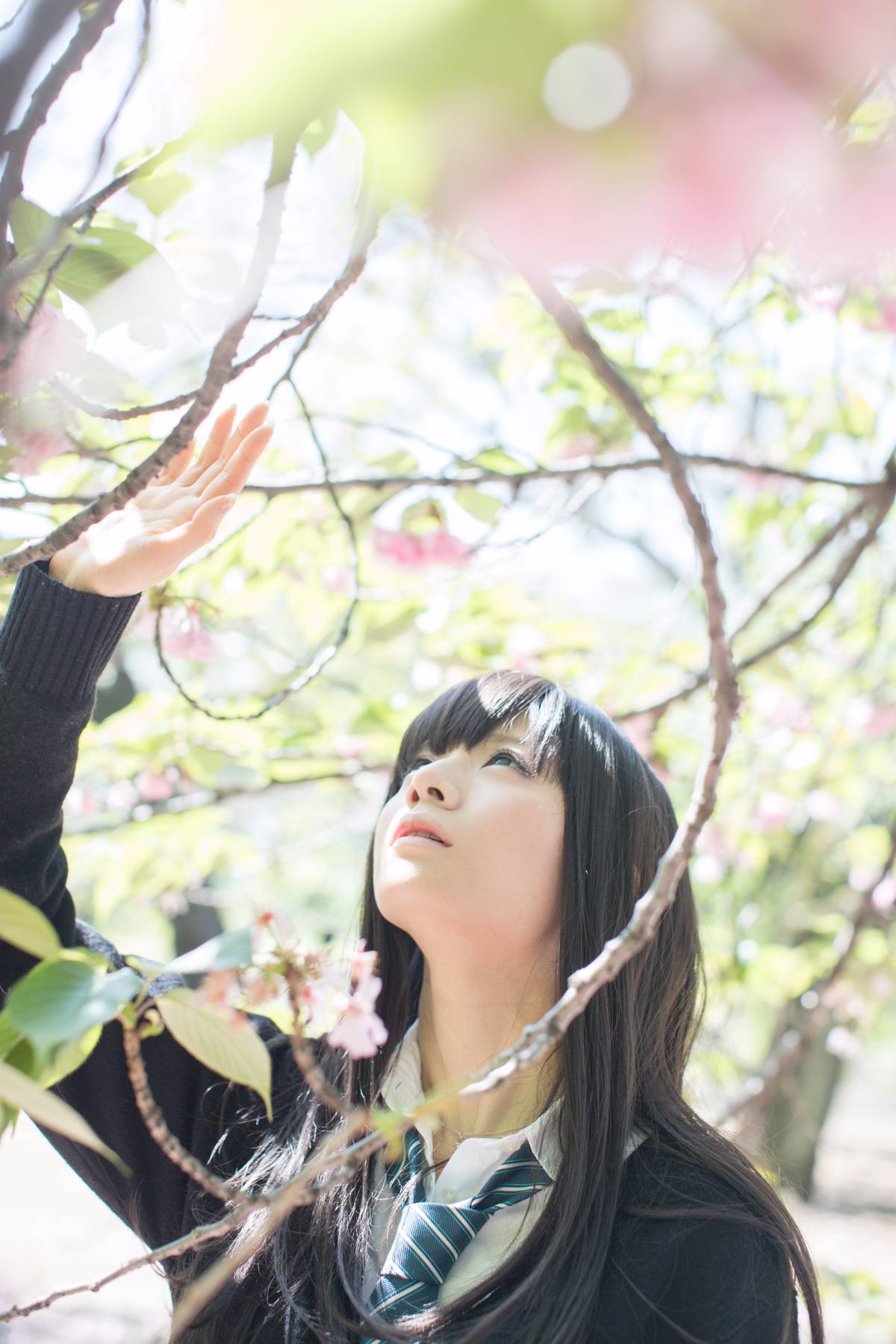 [Flameworks] Tự nhiên (Thần tượng - Shibuya Rin)