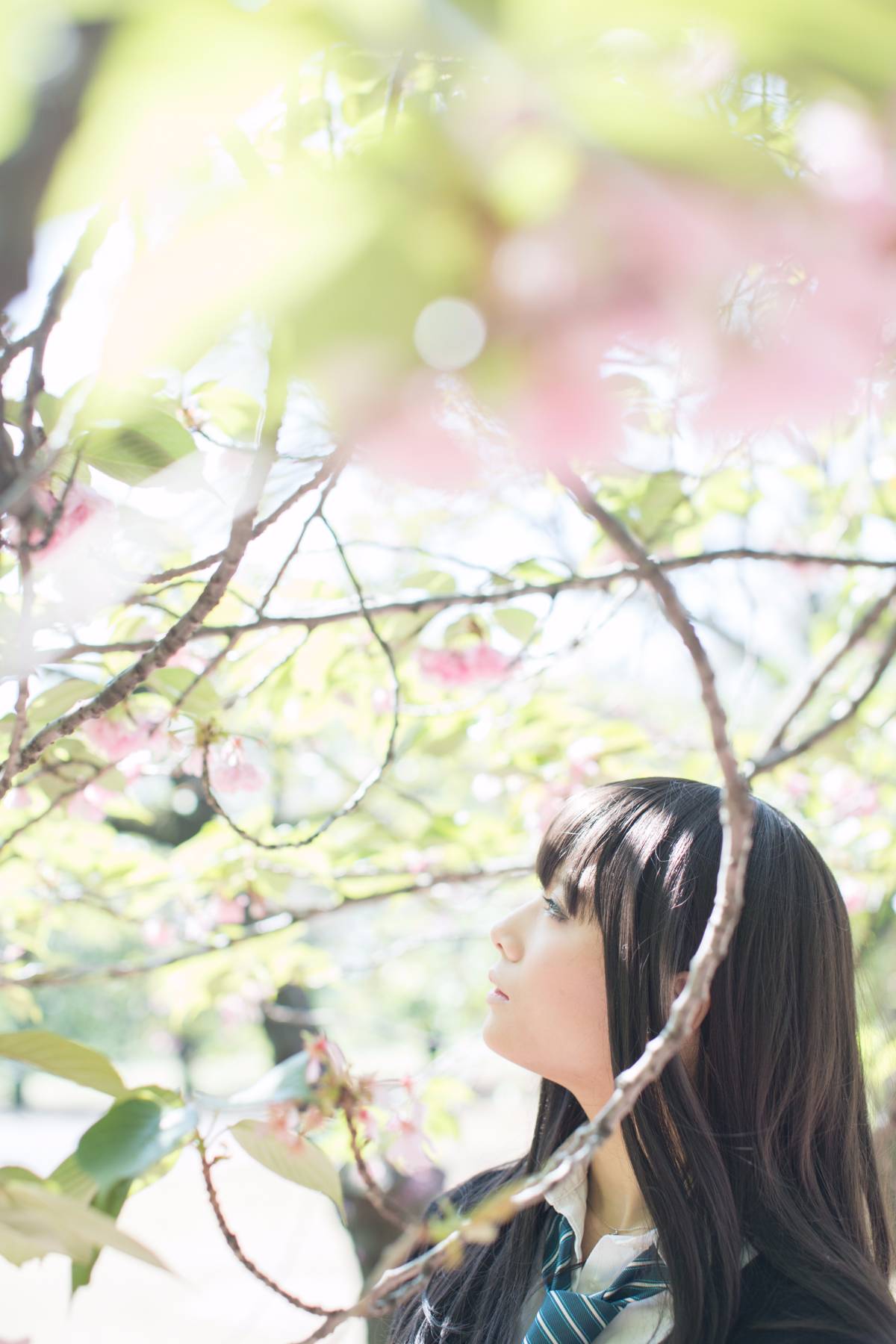 [Flameworks] Tự nhiên (Thần tượng - Shibuya Rin)