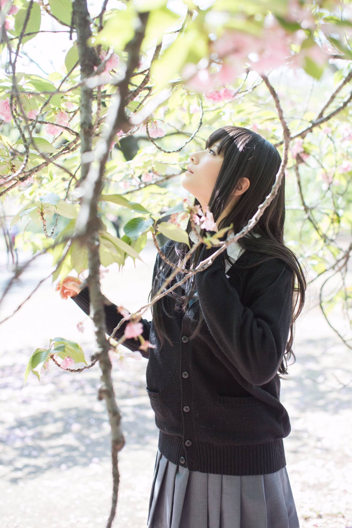 [Flameworks] Tự nhiên (Thần tượng - Shibuya Rin)