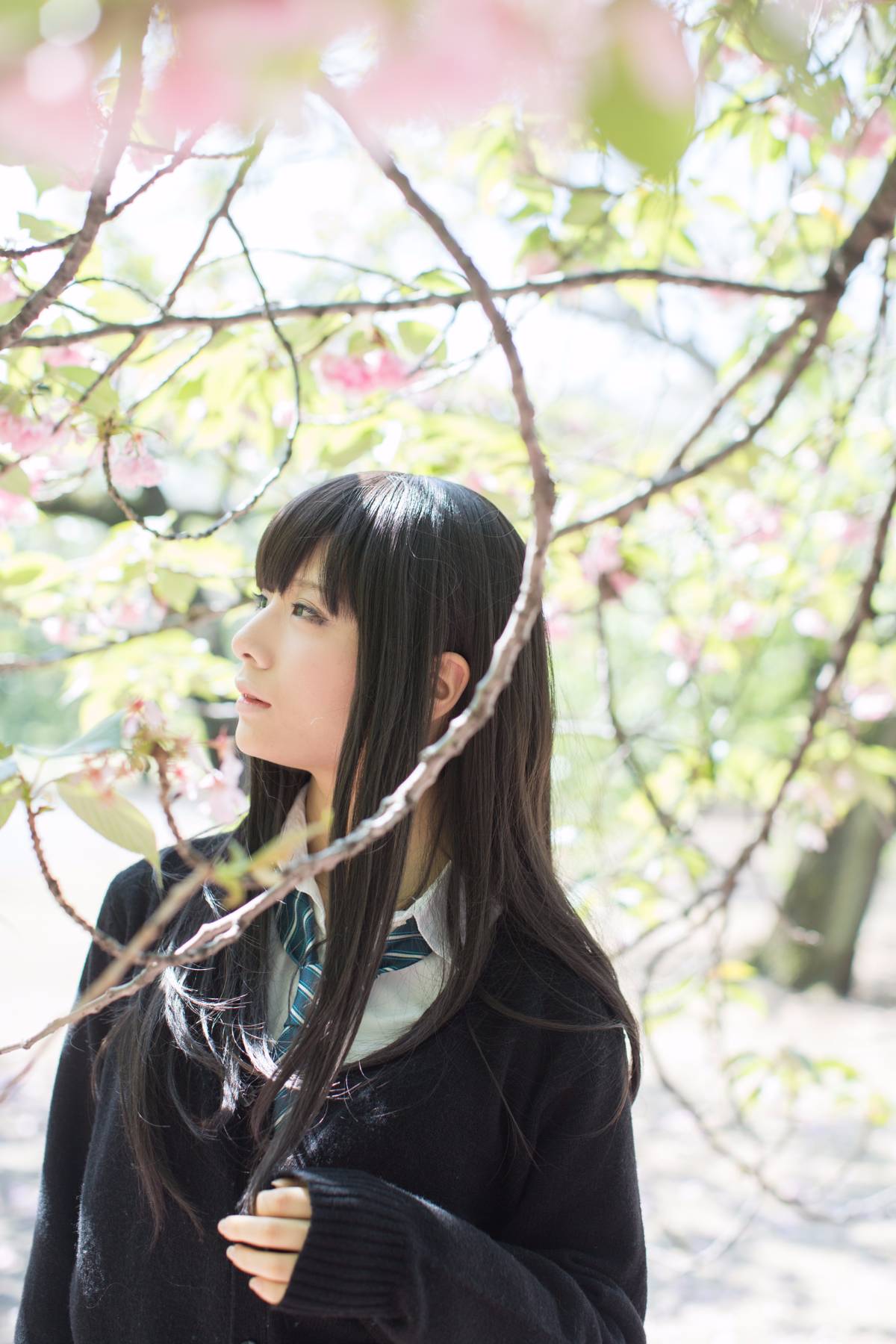 [Flameworks] Tự nhiên (Thần tượng - Shibuya Rin)