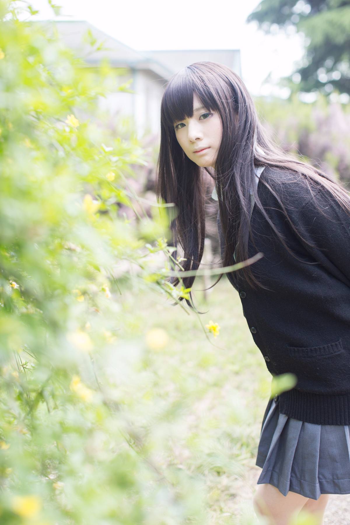 [Flameworks] Tự nhiên (Thần tượng - Shibuya Rin)