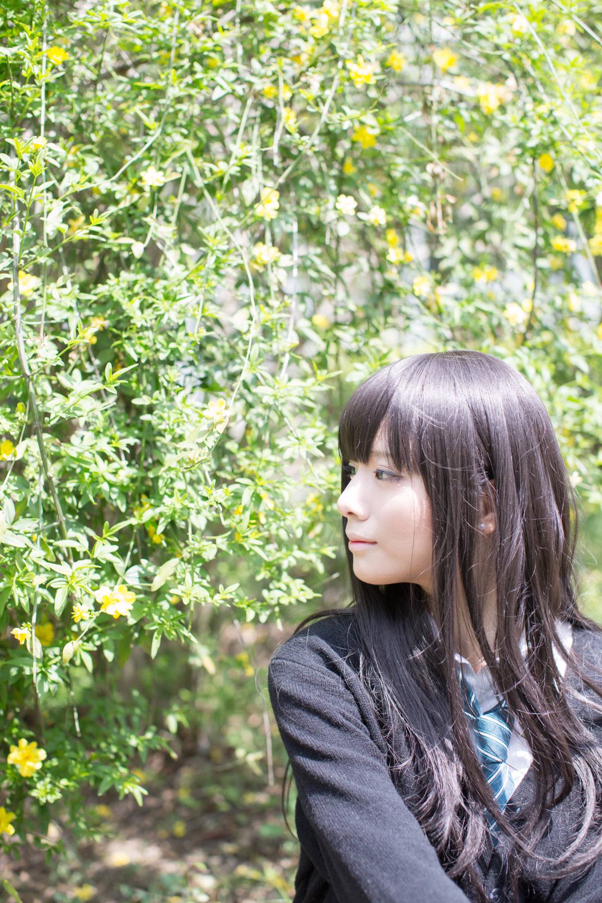 [Flameworks] Tự nhiên (Thần tượng - Shibuya Rin)