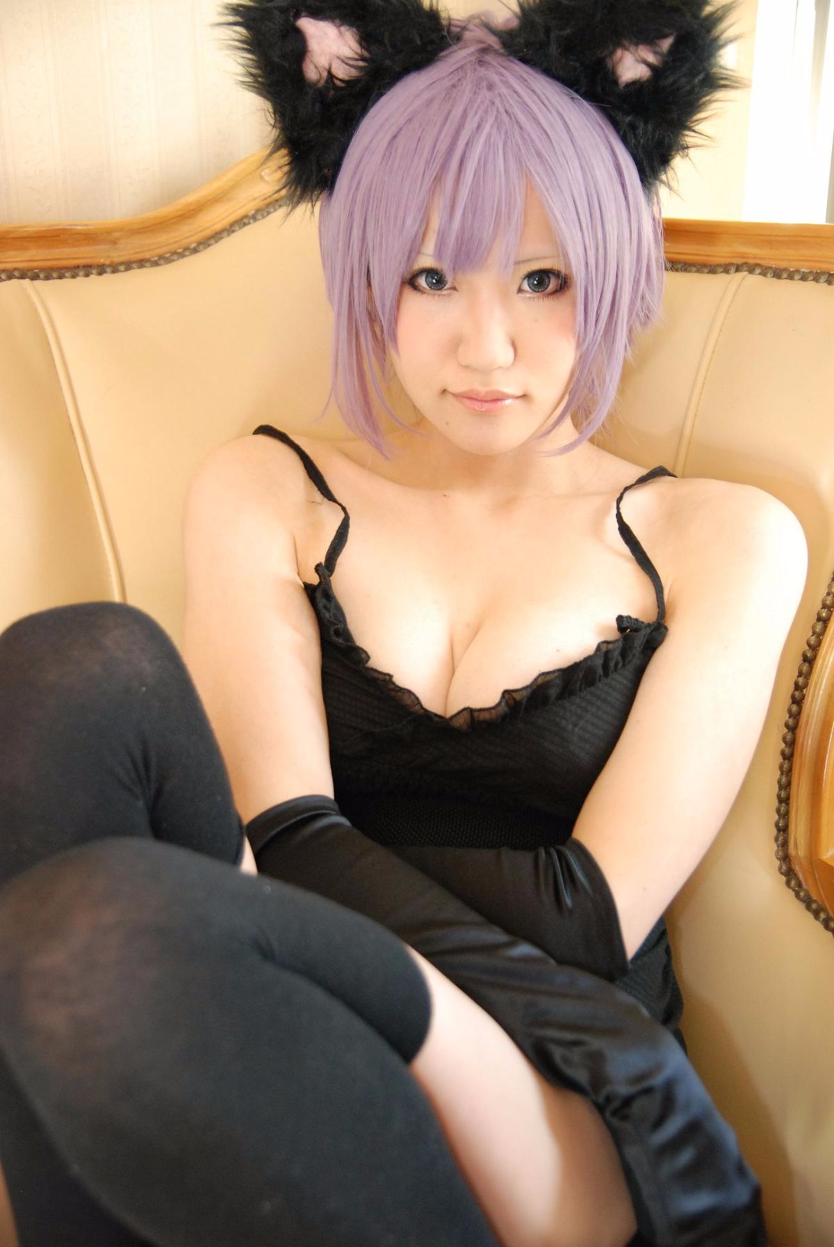 [Từ một bông hồng] Dazai Garo