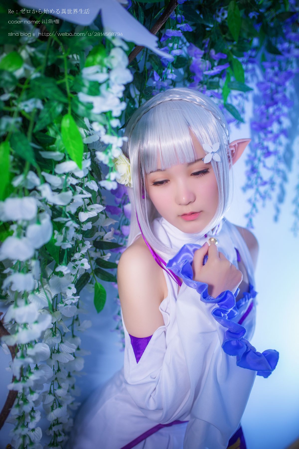 Emilia carbon cos