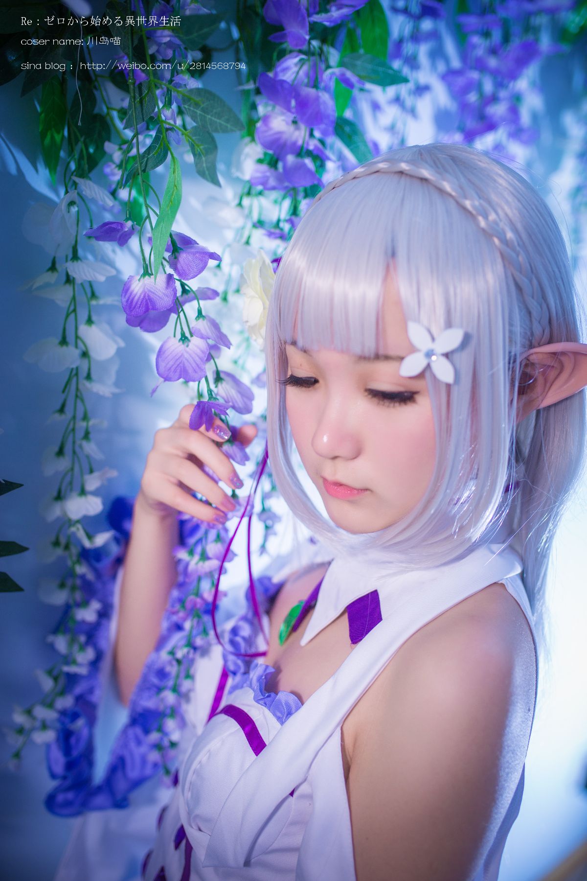 Emilia carbon cos