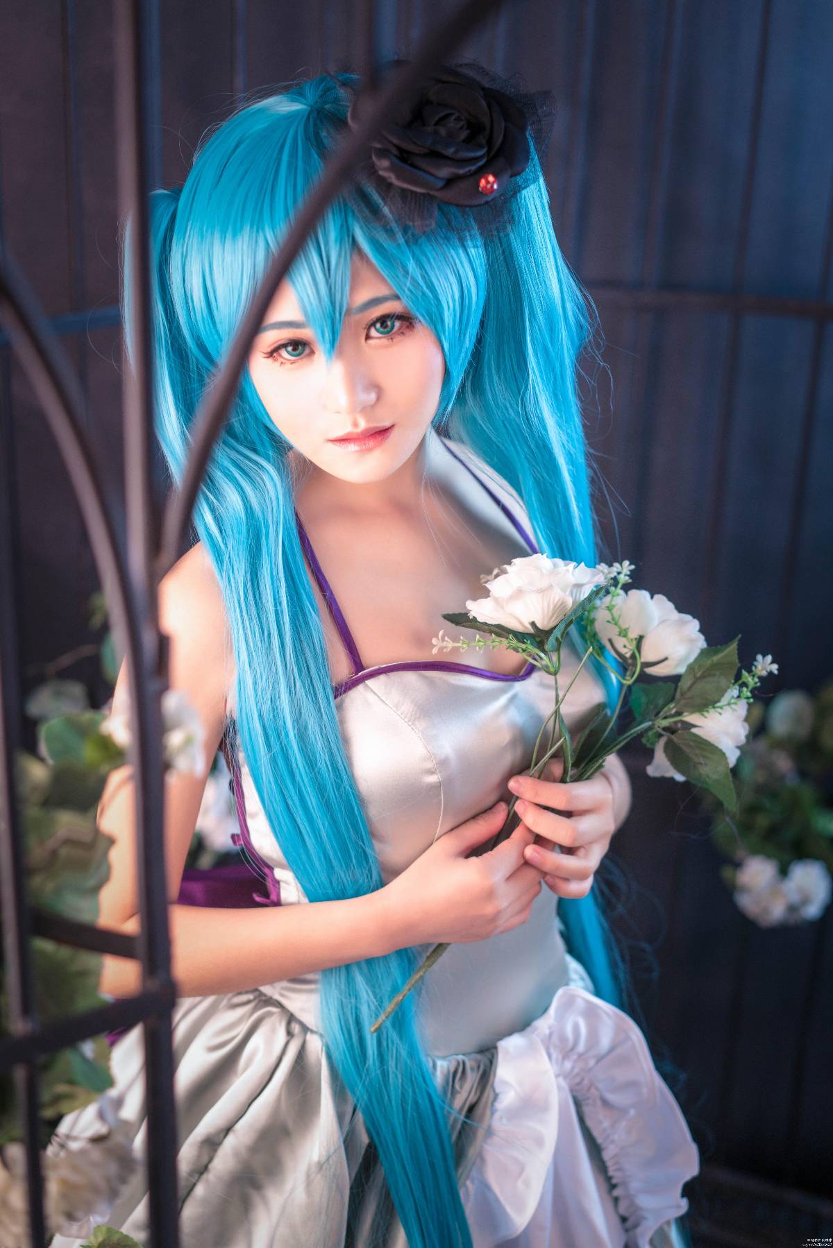 "Vocaloid" Hatsune Miku Happiness and Safety Ủy ban An toàn C O S P L A Y