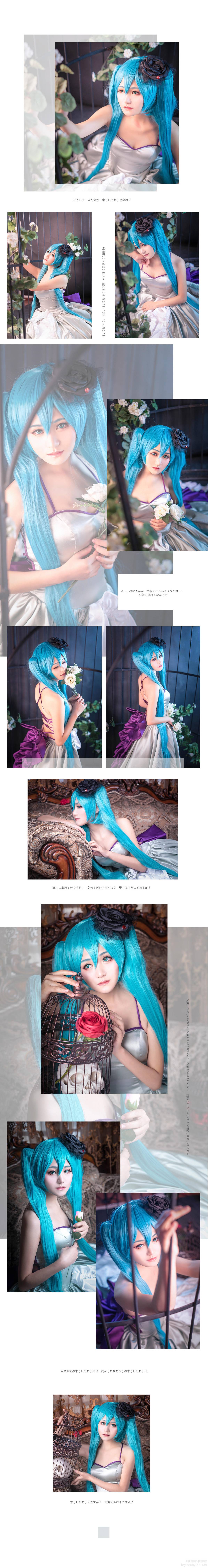 "Vocaloid" Hatsune Miku Happiness and Safety Ủy ban An toàn C O S P L A Y