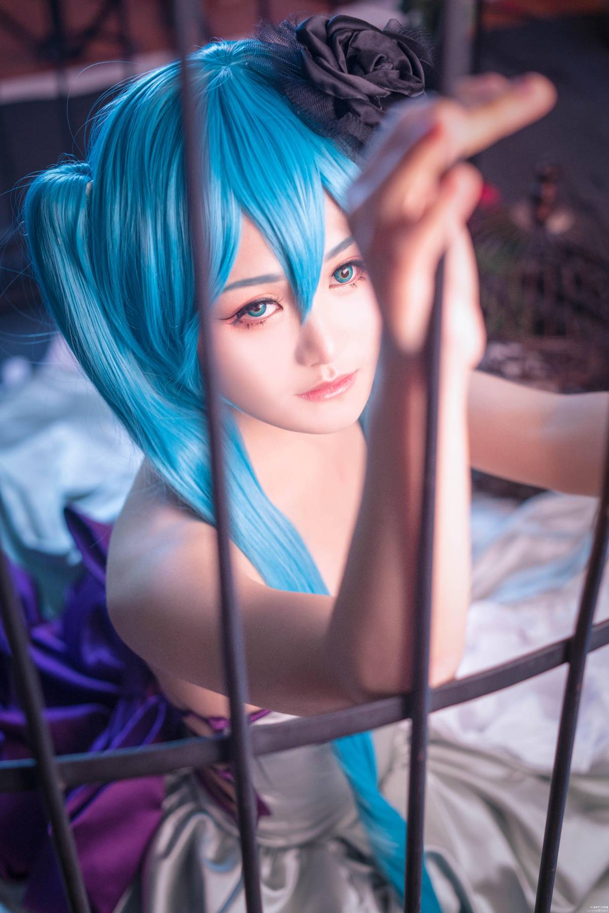 "Vocaloid" Hatsune Miku Happiness and Safety Ủy ban An toàn C O S P L A Y