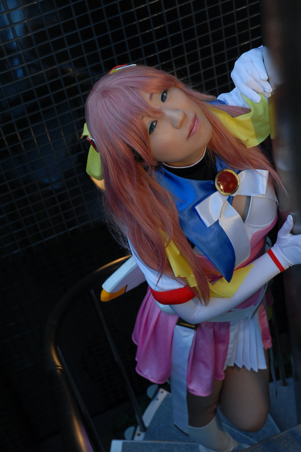 [Net hoa] Rape Escalier