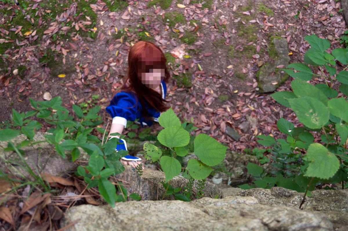 [Chết hoặc sống] màu xanh ...