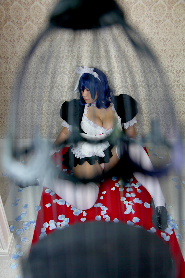 [Mariposa Luz de la Luna]