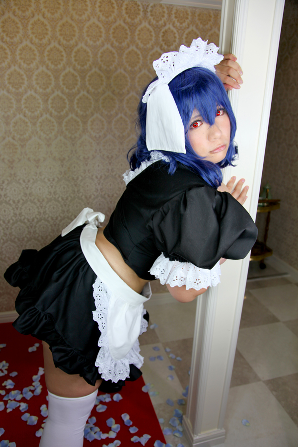 [Mariposa Luz de la Luna]