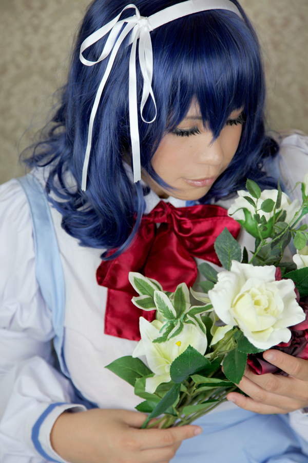 [Mariposa Luz de la Luna]