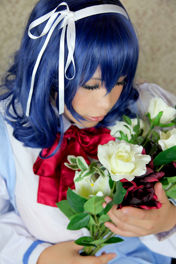 [Mariposa Luz de la Luna]