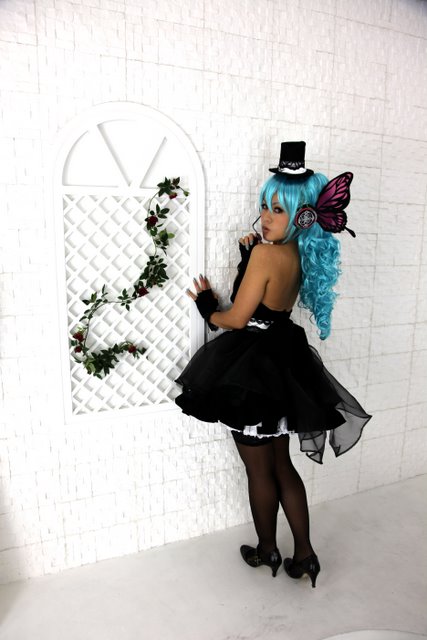 [Moon Light Mariposa] Butterfly