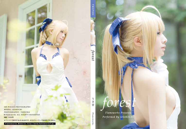 [Flameworks] Forest (Sê -ri Fate - Saber)