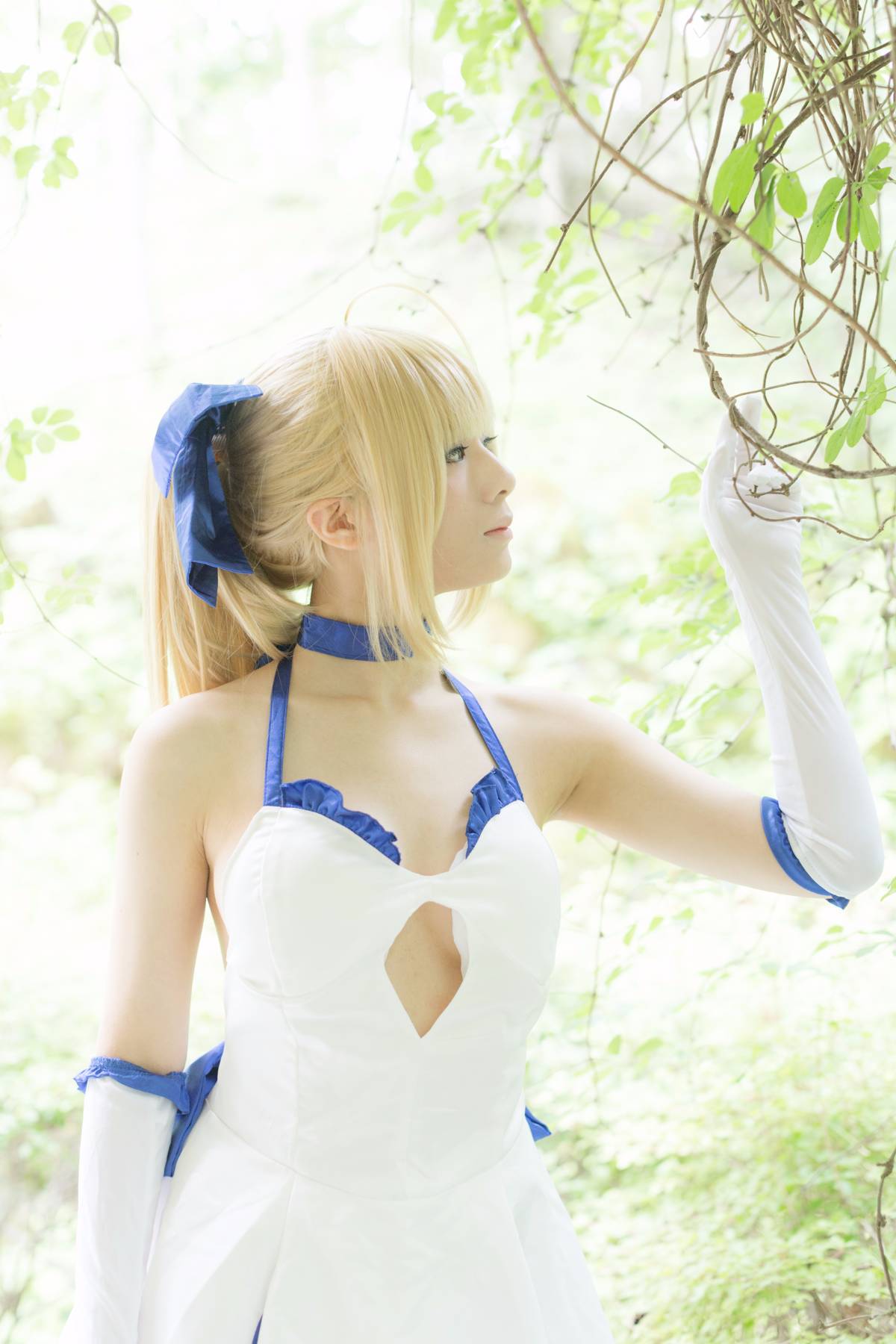[Flameworks] Forest (Sê -ri Fate - Saber)