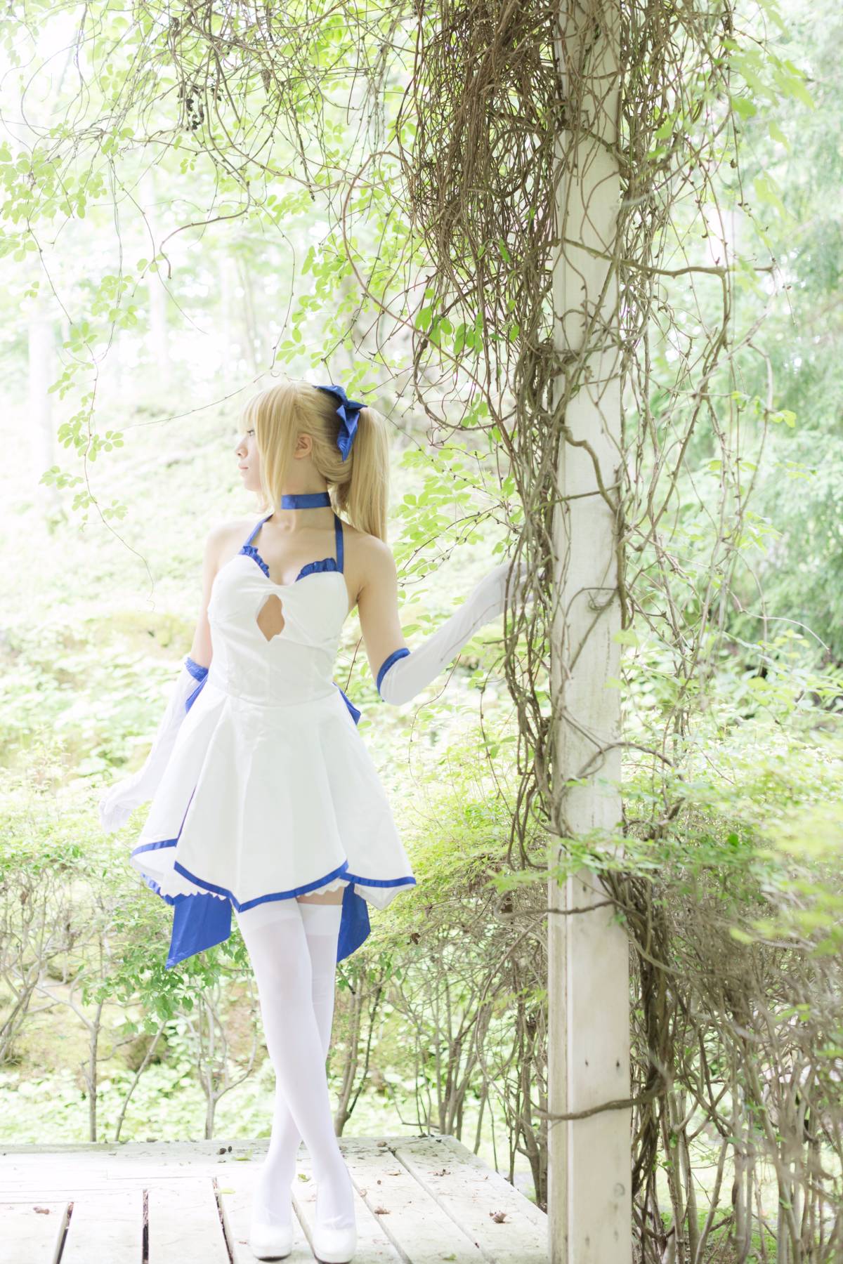 [Flameworks] Forest (Sê -ri Fate - Saber)