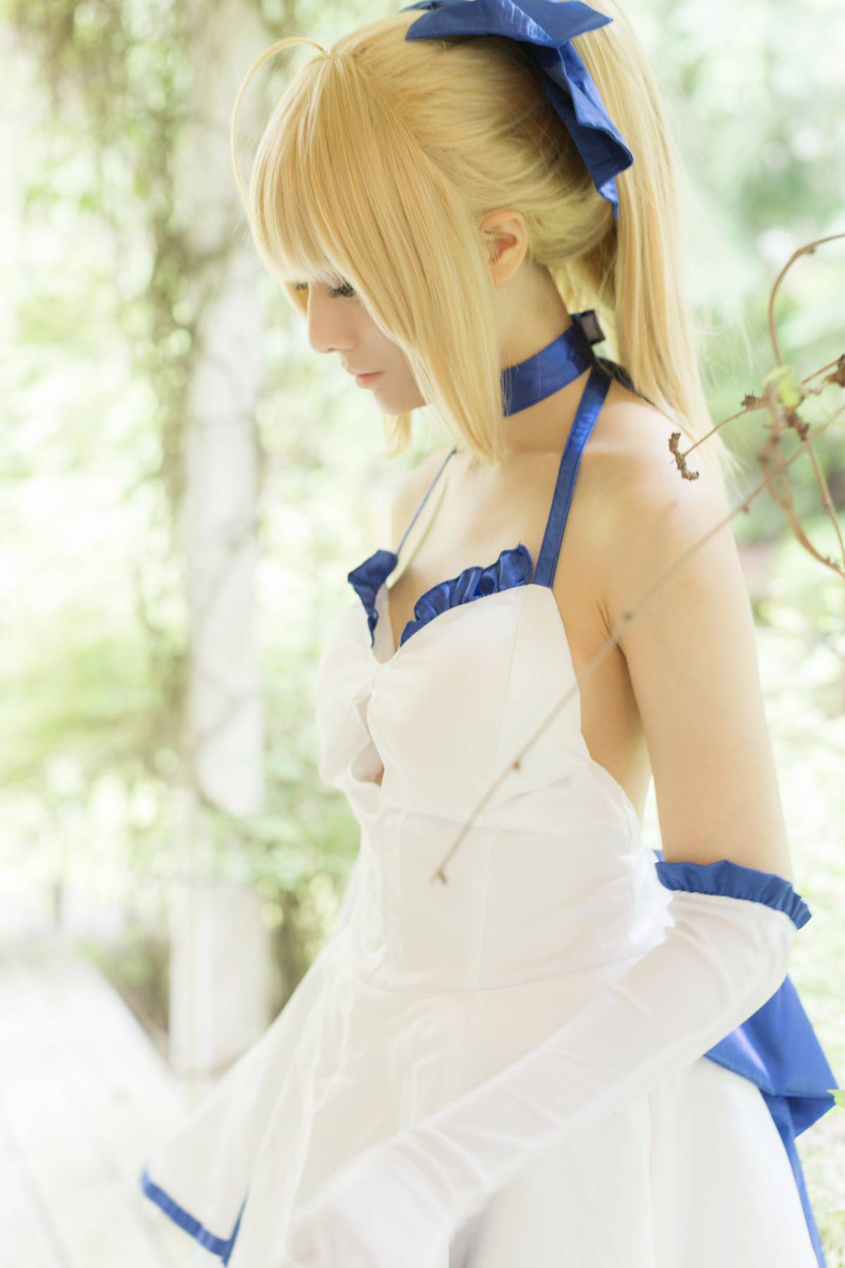 [Flameworks] Forest (Sê -ri Fate - Saber)