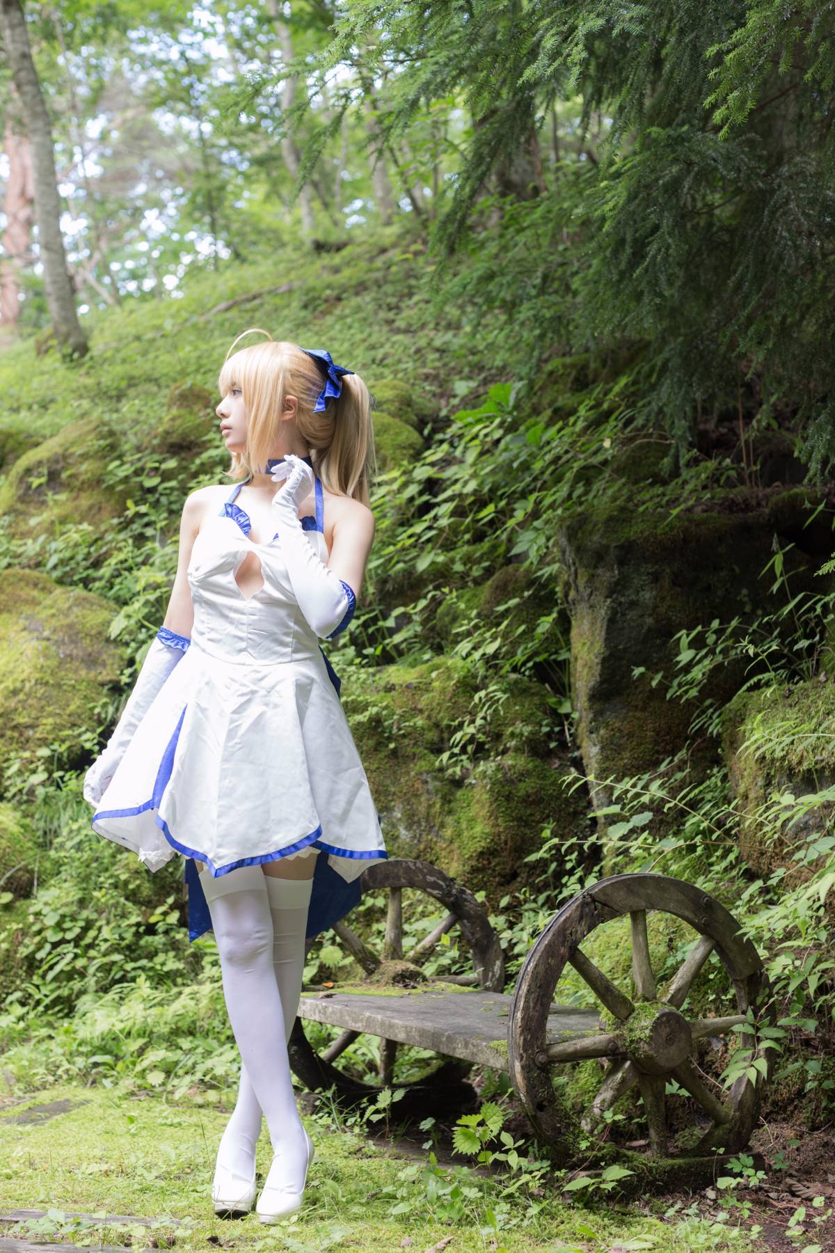 [Flameworks] Forest (Sê -ri Fate - Saber)