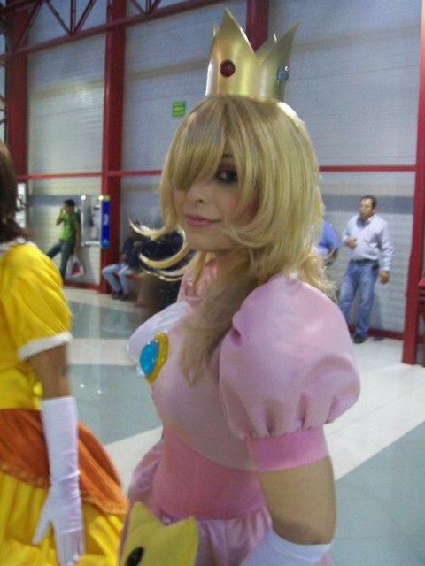 "Super Mario" Princess Brigitte c o s p l a y