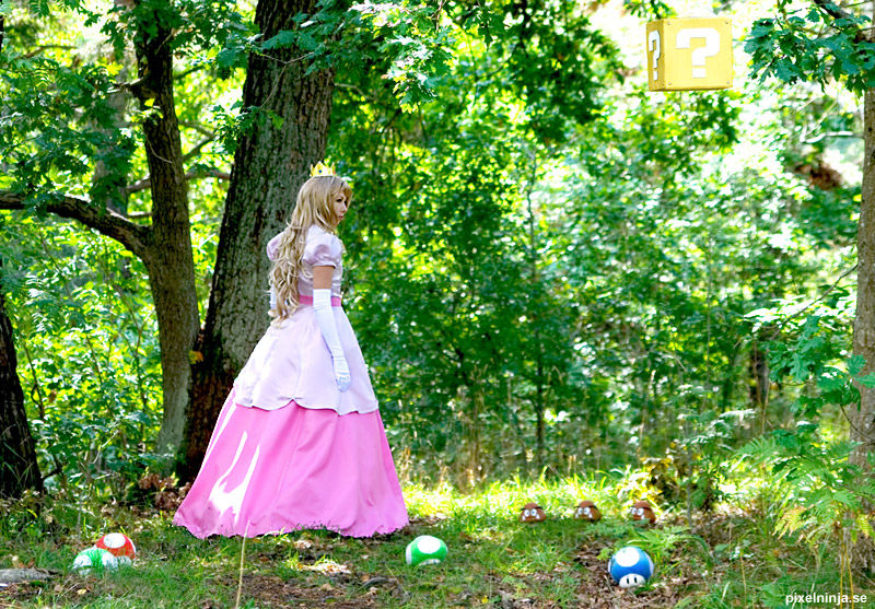 "Super Mario" Princess Brigitte c o s p l a y