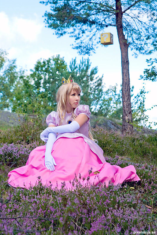 "Super Mario" Princess Brigitte c o s p l a y