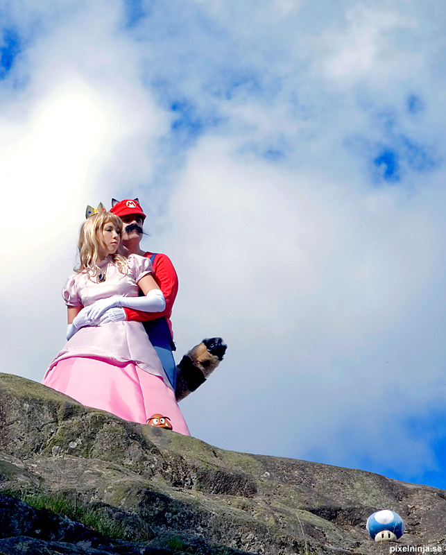 "Super Mario" Princess Brigitte c o s p l a y