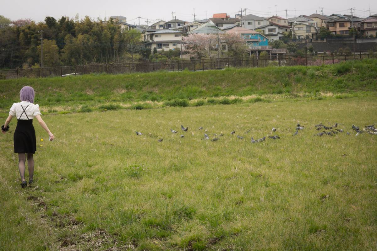 [Bộ của tôi] Dasshibiyori