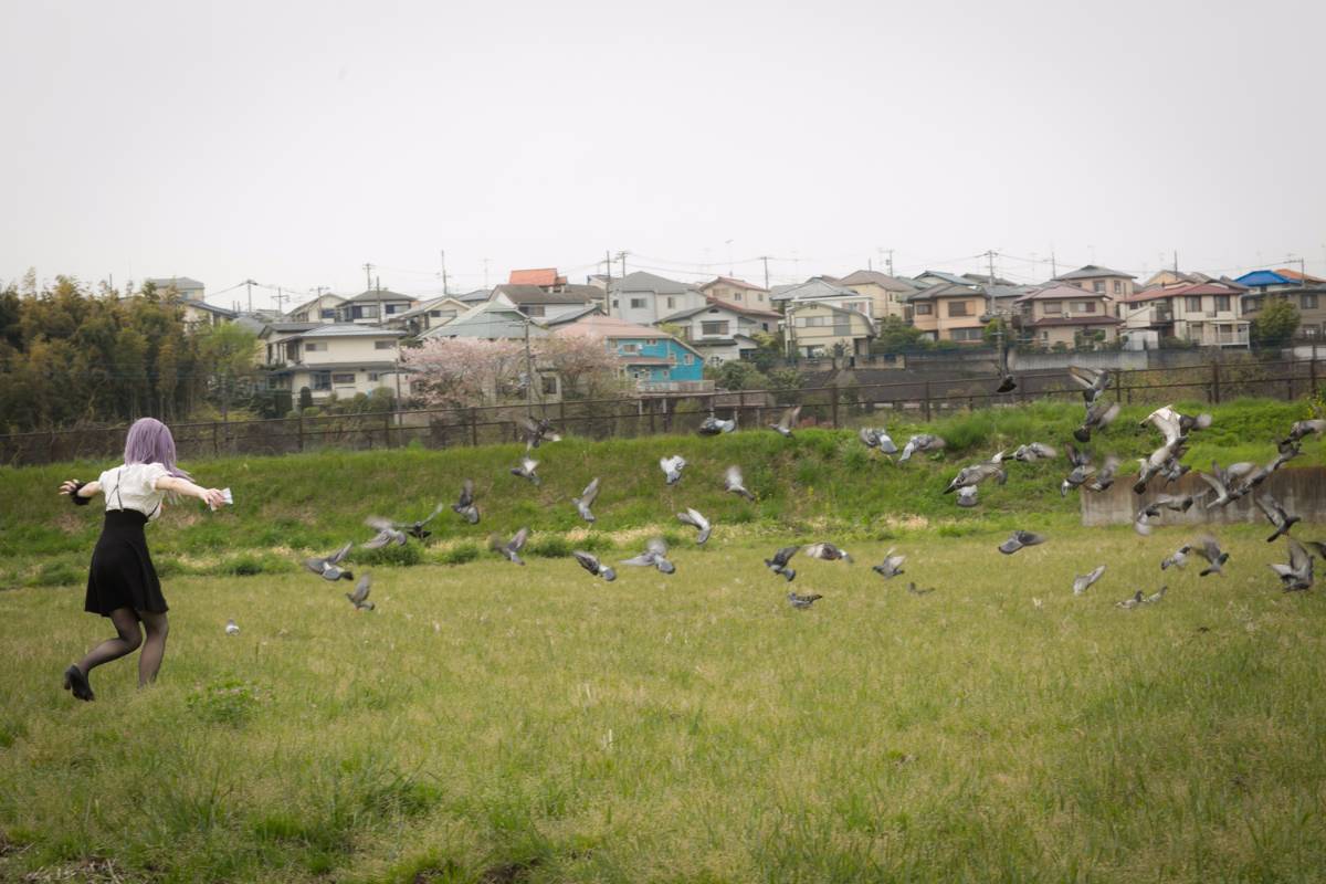 [Bộ của tôi] Dasshibiyori