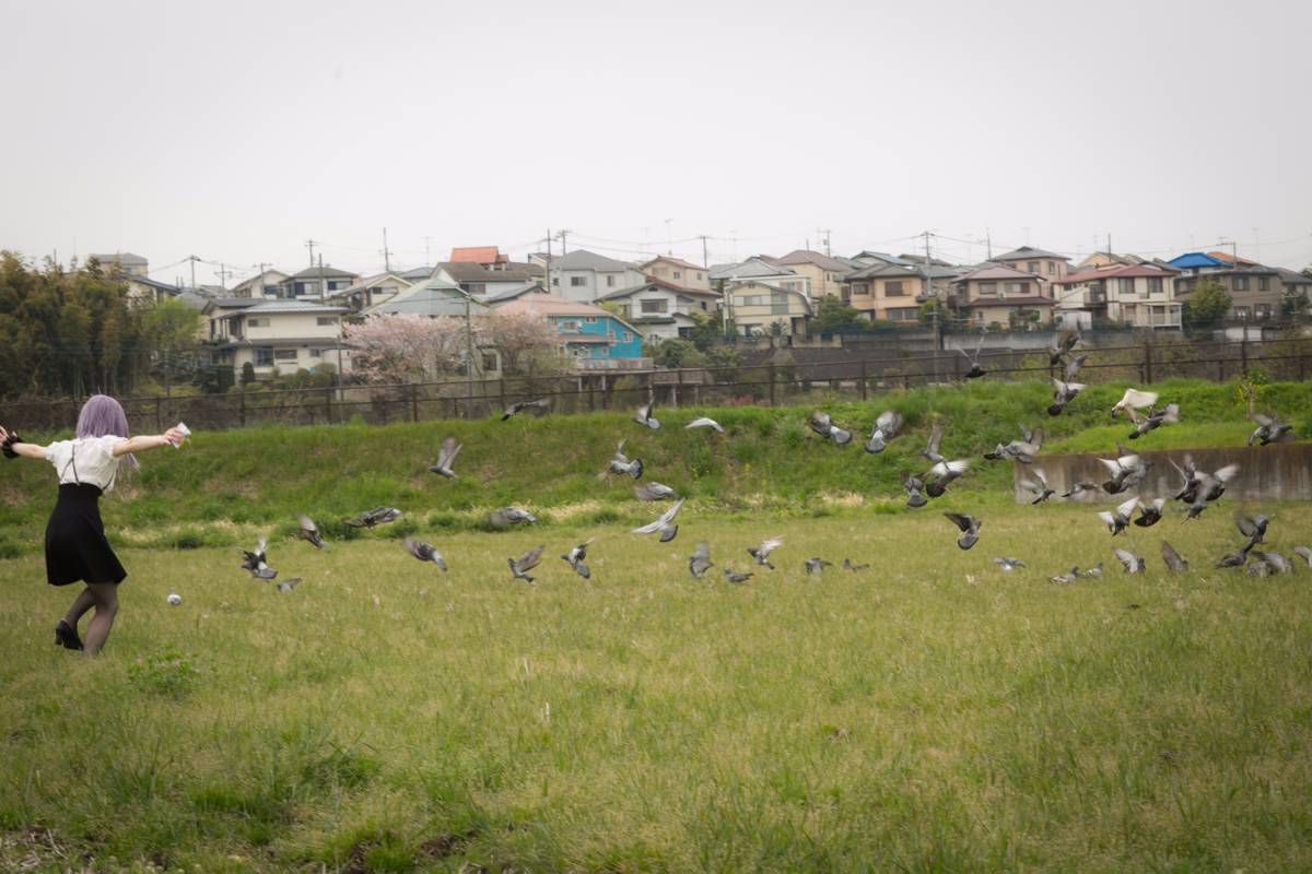 [Bộ của tôi] Dasshibiyori