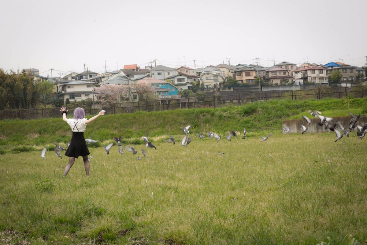 [Bộ của tôi] Dasshibiyori