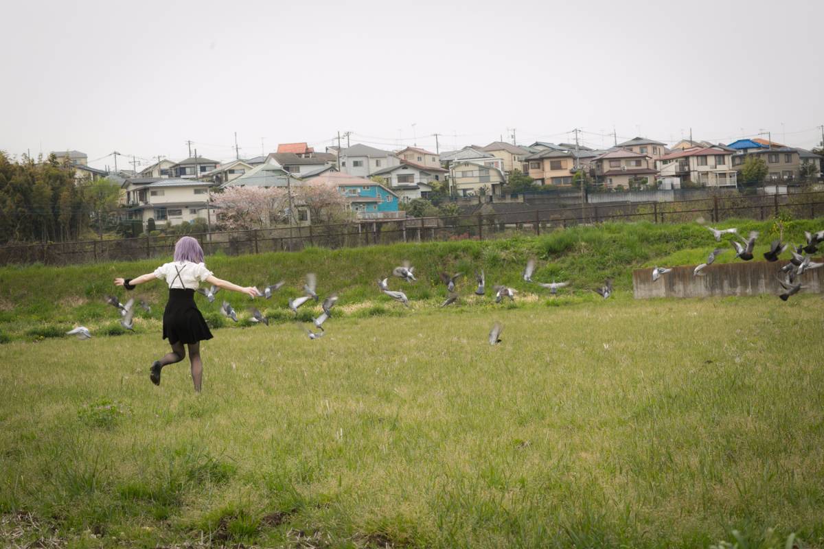 [Bộ của tôi] Dasshibiyori