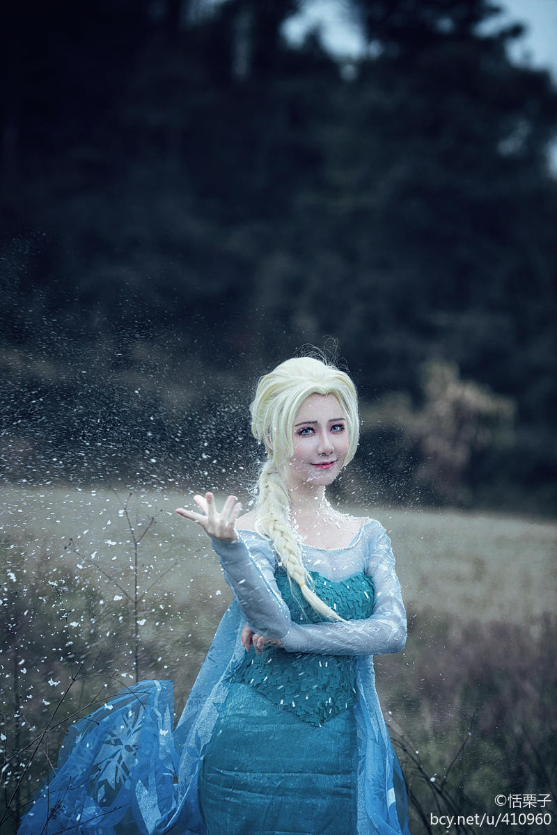 "Frozen" Elsa Princess Dress C o s p l a y