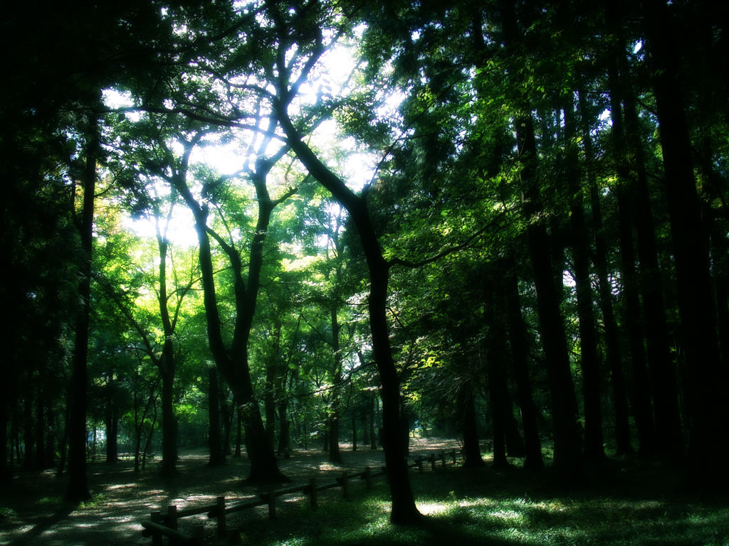 [Bướm ánh trăng] 狩 Monster Hunter 2G