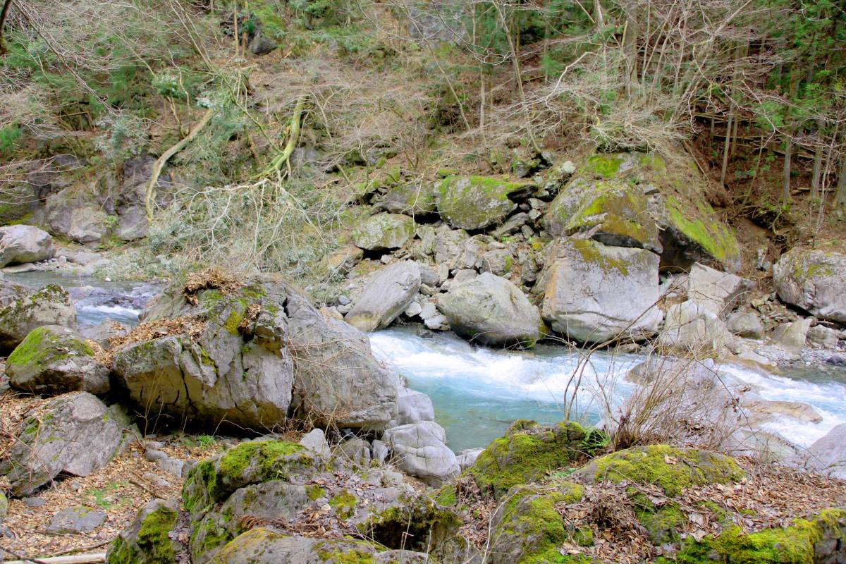 [Bướm ánh trăng] 狩 Monster Hunter 2G