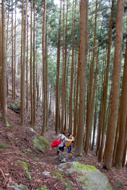 [Bướm ánh trăng] 狩 Monster Hunter 2G