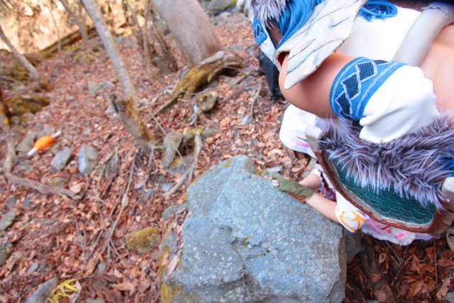 [Bướm ánh trăng] 狩 Monster Hunter 2G