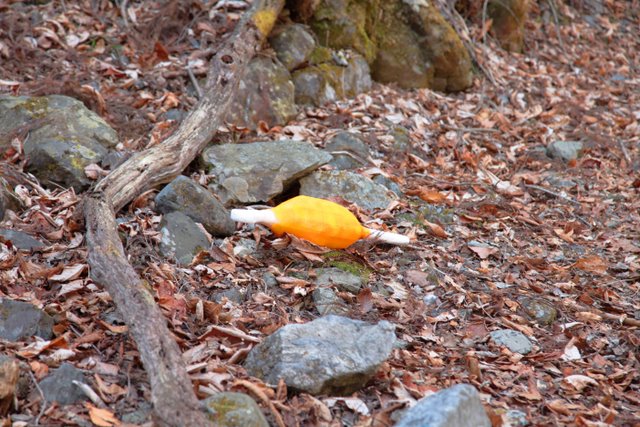 [Bướm ánh trăng] 狩 Monster Hunter 2G