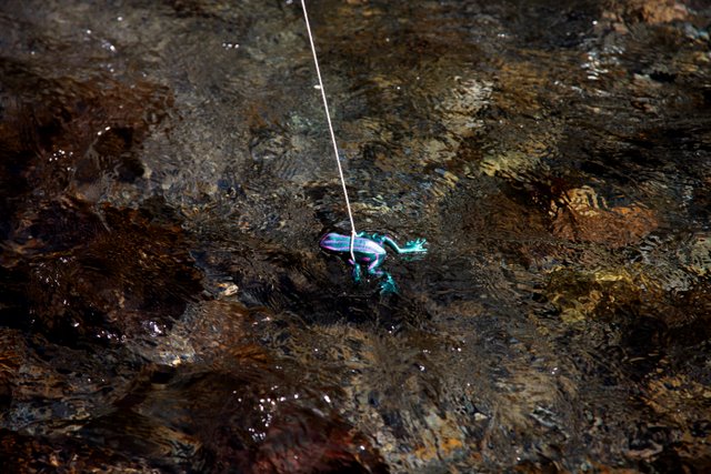 [Bướm ánh trăng] 狩 Monster Hunter 2G