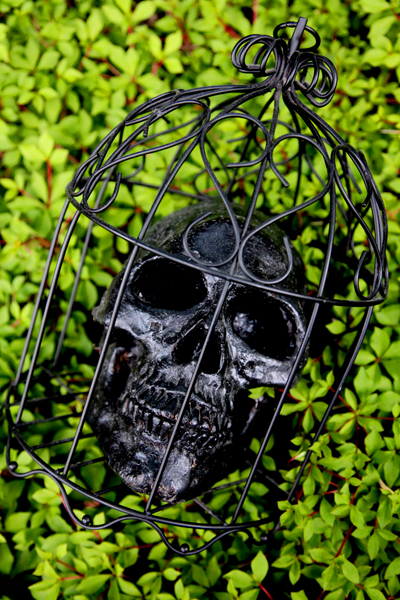 [Bướm ánh trăng] 狩 Monster Hunter 2G