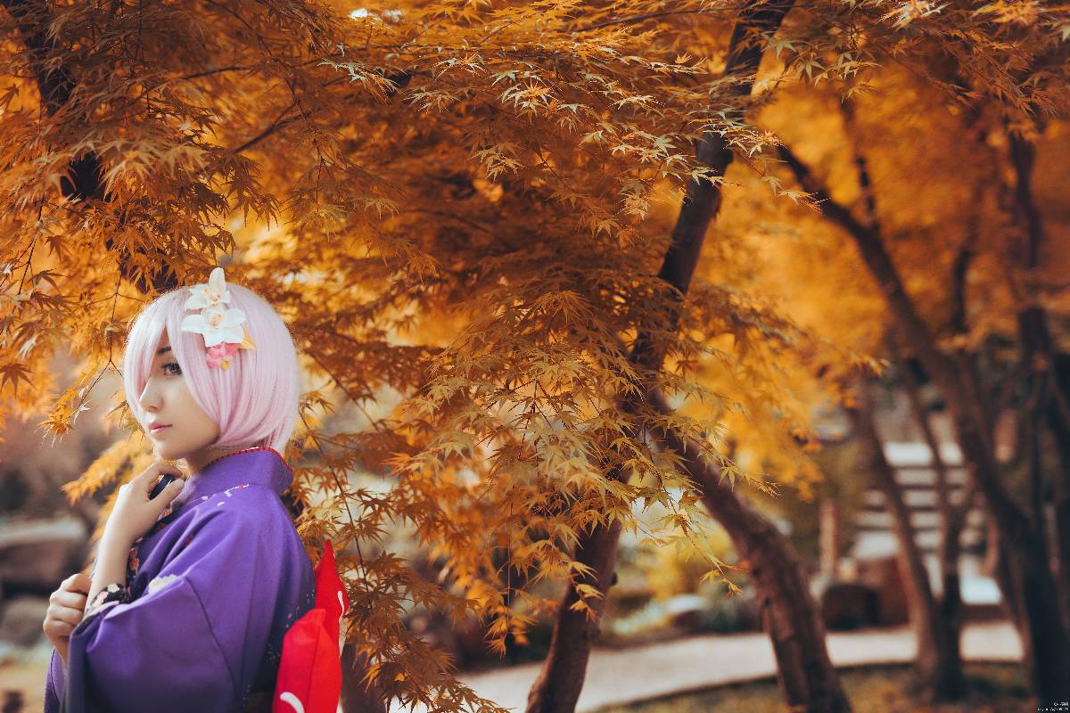 "Fate Grand Order" Shield Niang Mashu Gillette Tết và C O S P L A Y